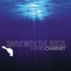 Swim With the Birds - Single