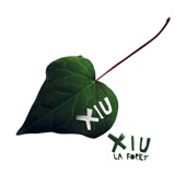 Xiu Xiu - Pox