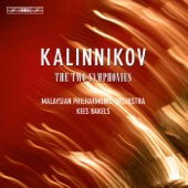 Kalinnikov: Symphonies Nos. 1 & 2 artwork