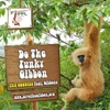 The Funky Gibbon (feat. Gibbons) - Single