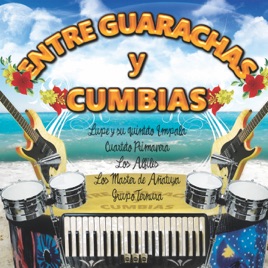 Quinteto Ternura Quinteto Ternura Quinteto Ternura Quinteto Ternura