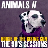 The House of the Rising Sun (Re-Recorded Version) artwork