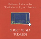 Baglama Takimindan - Bir Cift Durna Gordum