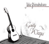 Jake Shimabukuro - While My Guitar Gently Weeps -solo- (Album Version)