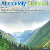 Bruckner: Symphony No. 8 In C Minor artwork