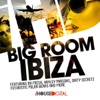 Big Room Ibiza, 2011