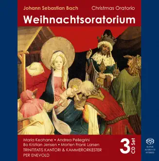 Weihnachtsoratorium, BWV 248: Resitativo Basso - So Geht Denn Hin by Morten Frank Larsen, Per Enevold & Trinitaris Kantori and Kammerorkester song reviws