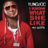 I Know What She Like (feat. Yo Gotti) song lyrics