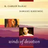 Winds of Devotion album lyrics, reviews, download