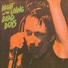 Night of the Living Dead Boys (Live)