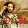 The Gladiators - Determination