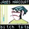 Bitch Tits - James Harcourt lyrics