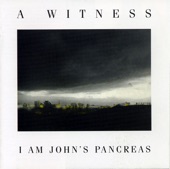 A Witness - Smelt Like a Pedestrian