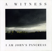 A Witness - Red Snake