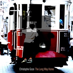 Christophe Goze - Moonlight