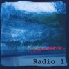 Radio 1, 2010