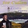 Old Dogs and Celtic Tigers