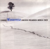 Die Winterreise D. 911: II. Die Wetterfahne artwork