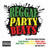 Reggae Party Beats artwork