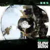 Slow Burn (Instrumentals) album lyrics, reviews, download