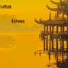 Echoes