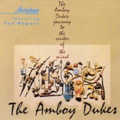 The Amboy Dukes - Baby Please Don't Go