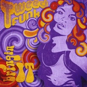 Tweed Funk - Blues Is The Truth