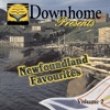 Downhome Newfoundland Favourites, Vol. 2