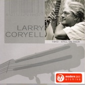 Larry Coryell - Angel On Sunset