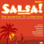 Salsa: The Essential 30 Collection, Vol. 1 artwork