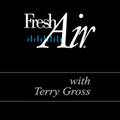 Fresh Air, Kevin Costner, Brad Bird, and Patton Oswalt, November 2, 2007 (Nonfiction) - Terry Gross