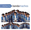 Mis Favoritas: Banda Machos