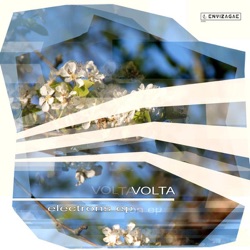Volta - Voltesque