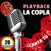 20 Playback Clasicos De La Copla. Karaoke Y Canta Tu ! - Orquesta De La Agrupación Canción Española Joaquín Jurado