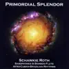 Primordial Splendor album lyrics, reviews, download