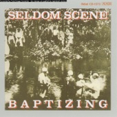 Seldom Scene - Fallen Leaves