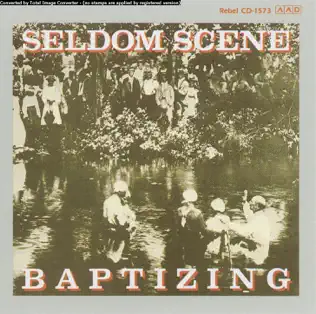 baixar álbum The Seldom Scene - Baptizing
