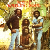 The Best of the Wailing Souls artwork