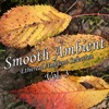 Smooth Ambient, Vol. 3