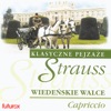 Capriccio - On the Beautiful Blue Danube