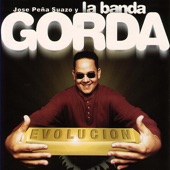 Gorda Mix artwork