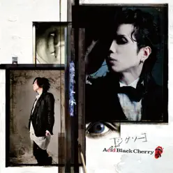 Jigsaw - Single - Acid Black Cherry