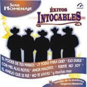 Exitos Intocables - Serie Homenaje artwork