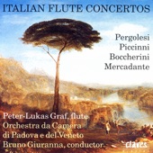 Flute Concerto in E Minor: III. Allegro vivace scherzando artwork