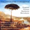 Flute Concerto in D Major: III. Allegro con brio artwork
