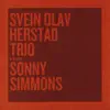 Live At Haugesund International Jazzfestival, 2005 (feat. Sonny Simmons) album lyrics, reviews, download