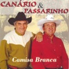 Canario and Passarinho: Camisa Branca