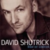 David Shutrick - Container