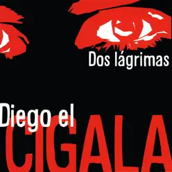 Dos Lágrimas - Diego el Cigala