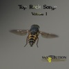 Top Rock Songs, Vol. I